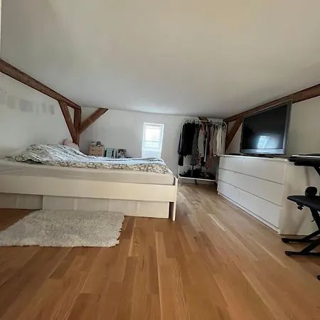 Bohemia Dreamhome Bern Appartement *