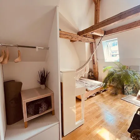 Bohemia Dreamhome Bern Appartement