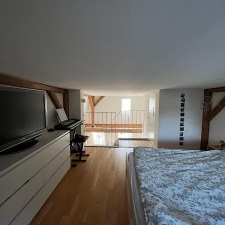 Bohemia Dreamhome Bern *